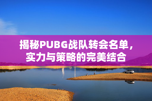 揭秘PUBG战队转会名单，实力与策略的完美结合