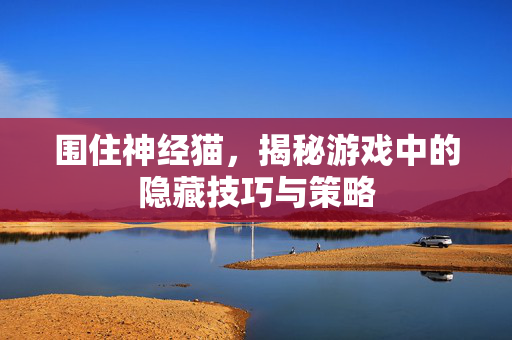 围住神经猫，揭秘游戏中的隐藏技巧与策略