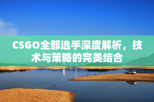 CSGO全部选手深度解析，技术与策略的完美结合