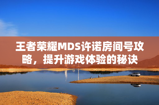王者荣耀MDS许诺房间号攻略，提升游戏体验的秘诀