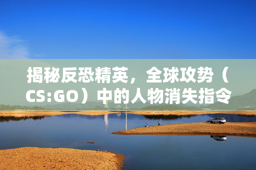 揭秘反恐精英，全球攻势（CS:GO）中的人物消失指令技巧
