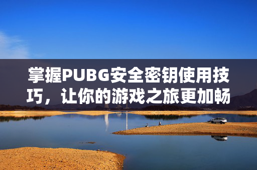 掌握PUBG安全密钥使用技巧，让你的游戏之旅更加畅快！