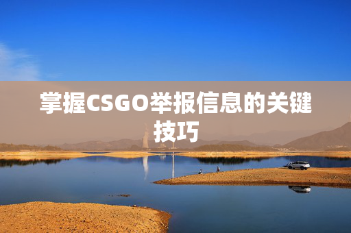 掌握CSGO举报信息的关键技巧