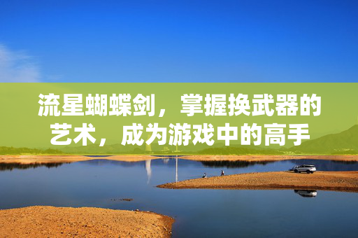 流星蝴蝶剑,掌握换武器的艺术,成为游戏中的高手 流星蝴蝶剑,掌握换武器的艺术,成为游戏中的高手