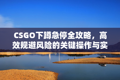 CSGO下蹲急停全攻略，高效规避风险的关键操作与实战技巧