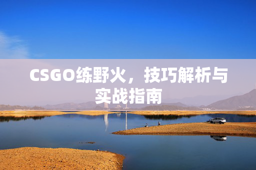 CSGO练野火，技巧解析与实战指南