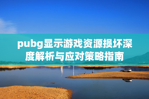 pubg显示游戏资源损坏深度解析与应对策略指南