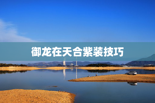 御龙在天合紫装技巧