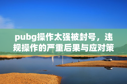 pubg操作太强被封号，违规操作的严重后果与应对策略解析