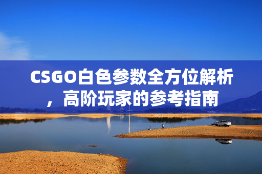 CSGO白色参数全方位解析，高阶玩家的参考指南