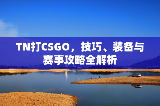 TN打CSGO，技巧、装备与赛事攻略全解析
