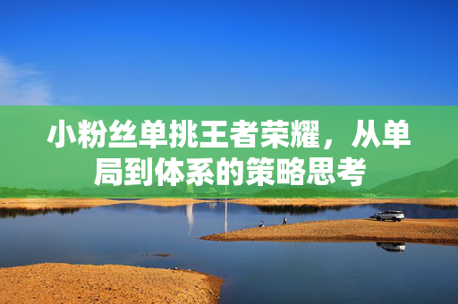 小粉丝单挑王者荣耀，从单局到体系的策略思考