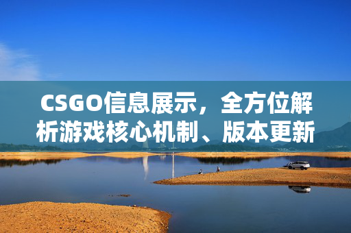 CSGO信息展示，全方位解析游戏核心机制、版本更新与实战策略