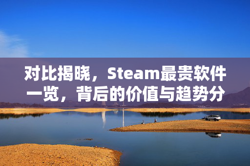 对比揭晓，Steam最贵软件一览，背后的价值与趋势分析