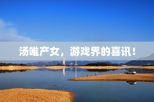 汤唯产女，游戏界的喜讯！