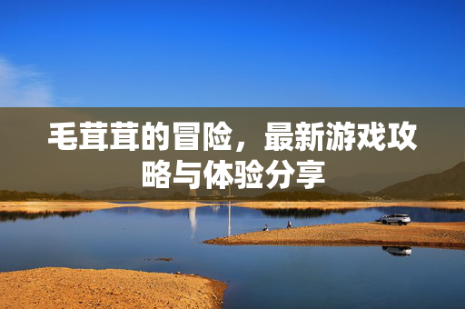 毛茸茸的冒险，最新游戏攻略与体验分享