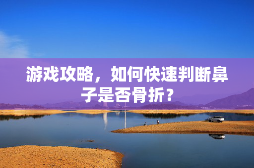 游戏攻略,如何快速判断鼻子是否骨折? 游戏攻略,如何快速判断鼻子是否骨折?