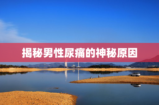 揭秘男性尿痛的神秘原因 揭秘男性尿痛的神秘原因