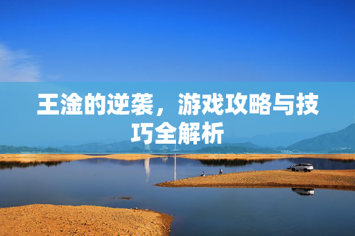 王淦的逆袭，游戏攻略与技巧全解析