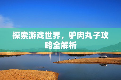 探索游戏世界，驴肉丸子攻略全解析