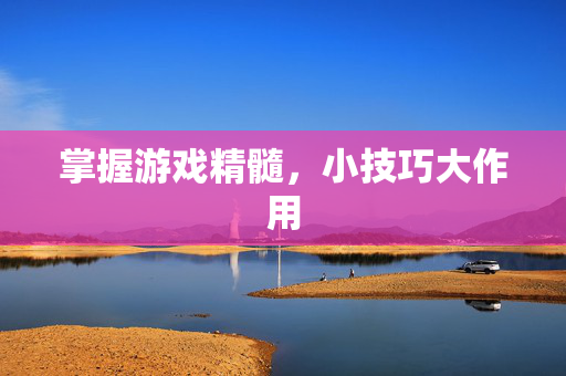 掌握游戏精髓，小技巧大作用