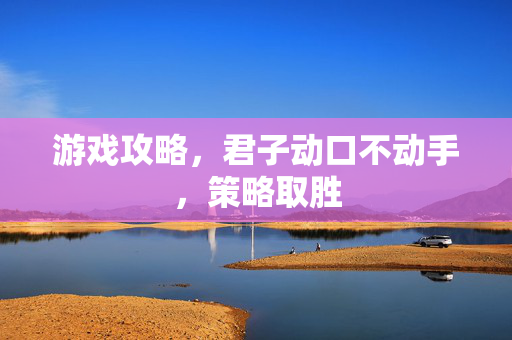 游戏攻略，君子动口不动手，策略取胜