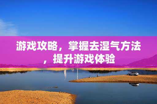 游戏攻略，掌握去湿气方法，提升游戏体验