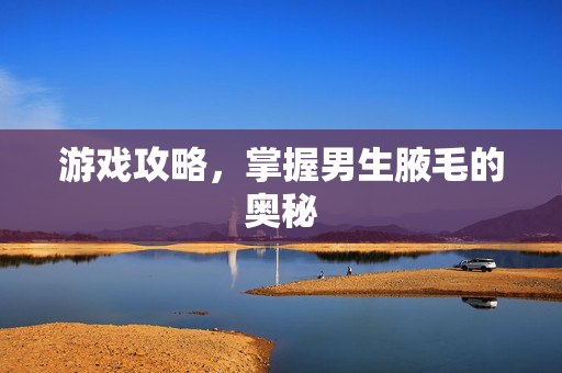 游戏攻略，掌握男生腋毛的奥秘