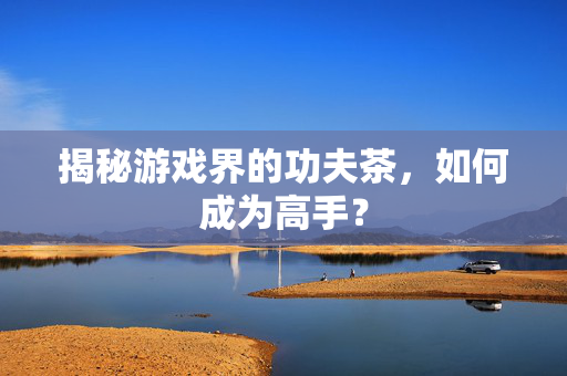 揭秘游戏界的功夫茶,如何成为高手? 揭秘游戏界的功夫茶,如何成为高手?