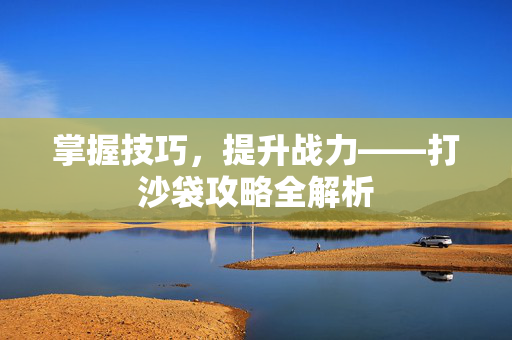 掌握技巧，提升战力——打沙袋攻略全解析