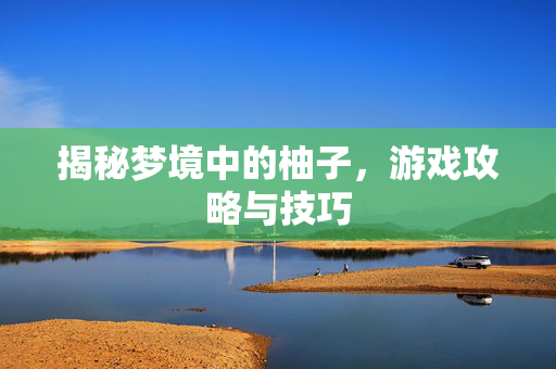 揭秘梦境中的柚子，游戏攻略与技巧