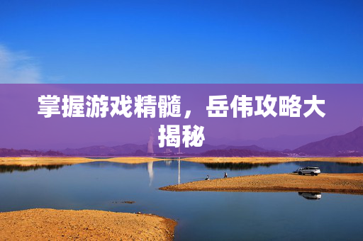 掌握游戏精髓，岳伟攻略大揭秘