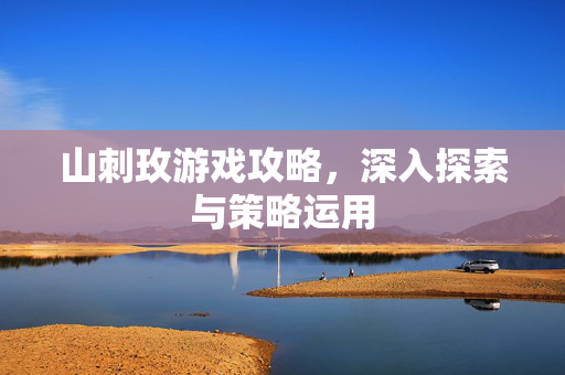 山刺玫游戏攻略，深入探索与策略运用