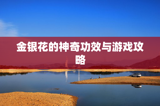 金银花的神奇功效与游戏攻略