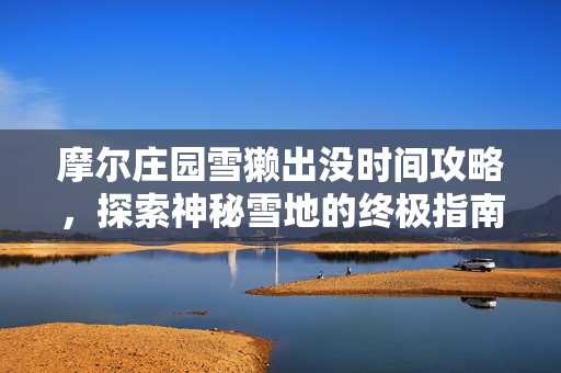 摩尔庄园雪獭出没时间攻略，探索神秘雪地的终极指南