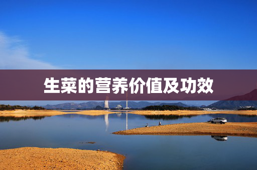 生菜的营养价值及功效