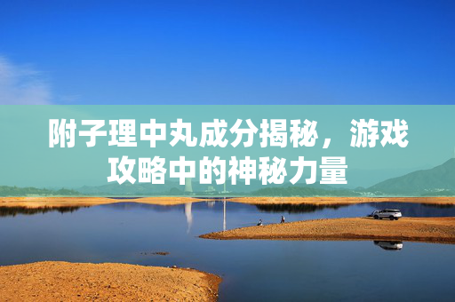 附子理中丸成分揭秘，游戏攻略中的神秘力量