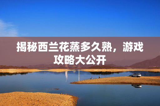 揭秘西兰花蒸多久熟，游戏攻略大公开