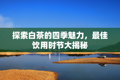 探索白茶的四季魅力，最佳饮用时节大揭秘