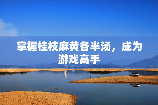 掌握桂枝麻黄各半汤，成为游戏高手
