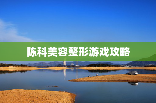 陈科美容整形游戏攻略