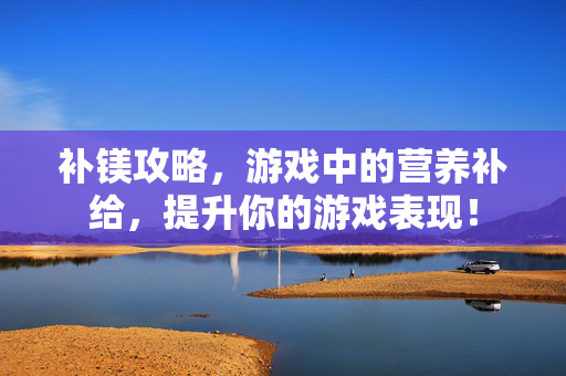 补镁攻略，游戏中的营养补给，提升你的游戏表现！