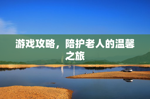 游戏攻略，陪护老人的温馨之旅