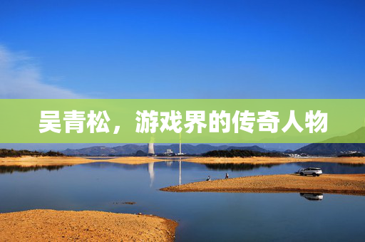 吴青松，游戏界的传奇人物