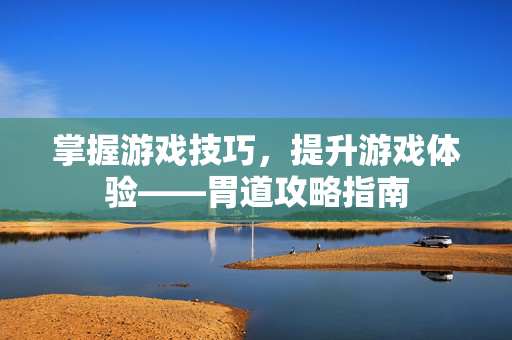 掌握游戏技巧，提升游戏体验——胃道攻略指南