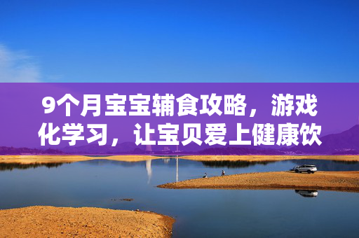 9个月宝宝辅食攻略，游戏化学习，让宝贝爱上健康饮食！
