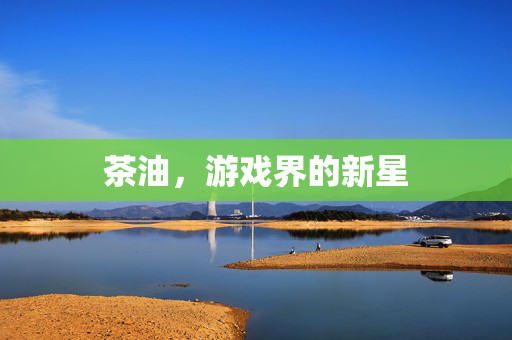 茶油，游戏界的新星