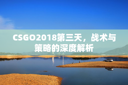 CSGO2018第三天，战术与策略的深度解析
