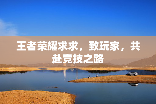 王者荣耀求求,致玩家,共赴竞技之路 王者荣耀求求,致玩家,共赴竞技之路