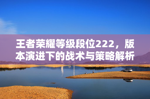 王者荣耀等级段位222，版本演进下的战术与策略解析